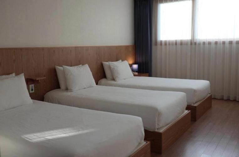 Soldongsan Stay Seogwipo Bagian luar foto